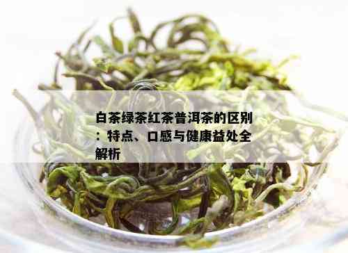 白茶绿茶红茶普洱茶的区别：特点、口感与健康益处全解析