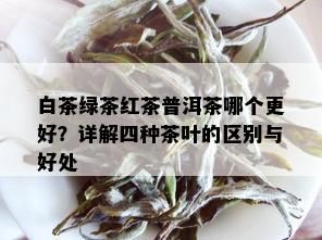 白茶绿茶红茶普洱茶哪个更好？详解四种茶叶的区别与好处