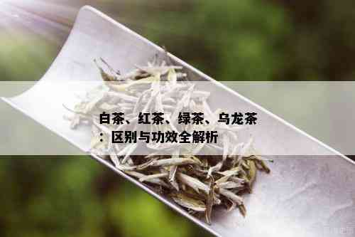 白茶、红茶、绿茶、乌龙茶：区别与功效全解析