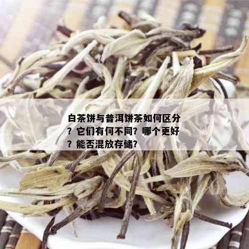 白茶饼与普洱饼茶如何区分？它们有何不同？哪个更好？能否混放存储？