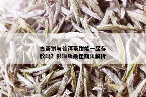 白茶饼与普洱茶饼能一起存放吗？影响及更佳期限解析