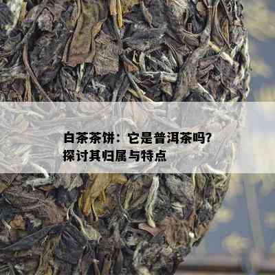 白茶茶饼：它是普洱茶吗？探讨其归属与特点