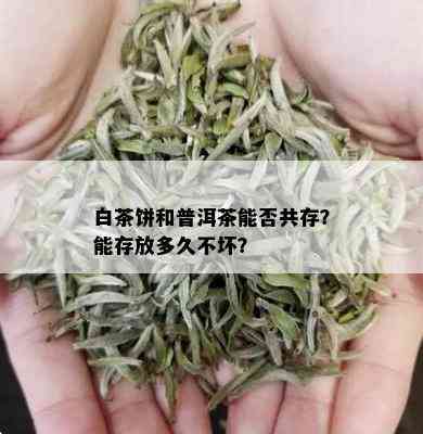 白茶饼和普洱茶能否共存？能存放多久不坏？