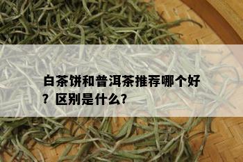 白茶饼和普洱茶推荐哪个好？区别是什么？