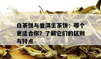 白茶饼与普洱生茶饼：哪个更适合你？了解它们的区别与特点