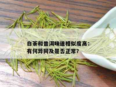 白茶和普洱味道相似度高：有何异同及是否正常？