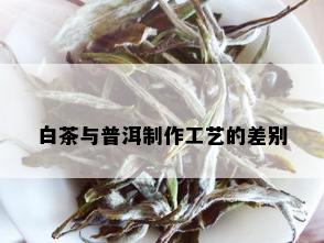 白茶与普洱制作工艺的差别