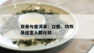 白茶与普洱茶：口感、功效及适宜人群比较