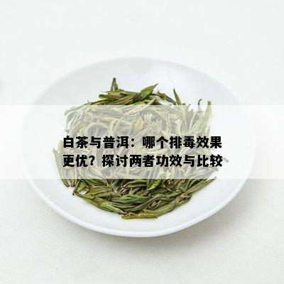 白茶与普洱：哪个排效果更优？探讨两者功效与比较