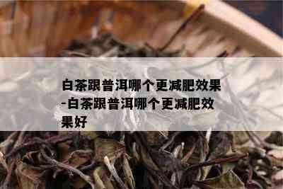 白茶跟普洱哪个更减肥效果-白茶跟普洱哪个更减肥效果好