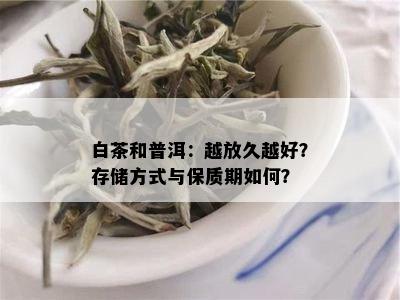 白茶和普洱：越放久越好？存储方式与保质期如何？