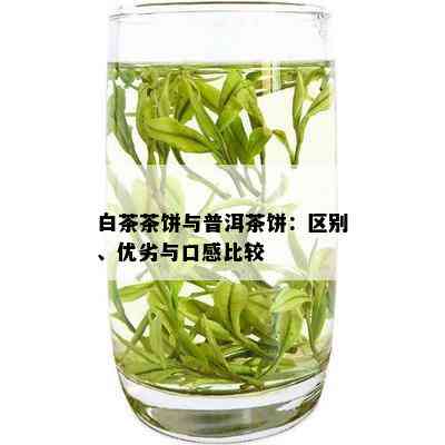 白茶茶饼与普洱茶饼：区别、优劣与口感比较