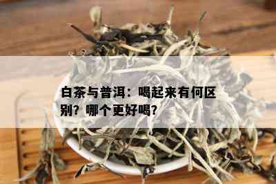 白茶与普洱：喝起来有何区别？哪个更好喝？