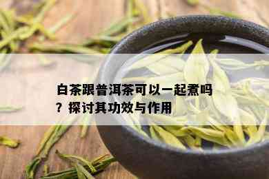 白茶跟普洱茶可以一起煮吗？探讨其功效与作用