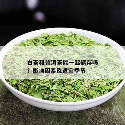 白茶和普洱茶能一起储存吗？影响因素及适宜季节