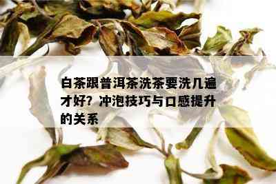 白茶跟普洱茶洗茶要洗几遍才好？冲泡技巧与口感提升的关系