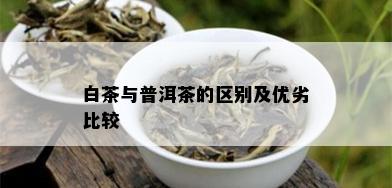 白茶与普洱茶的区别及优劣比较