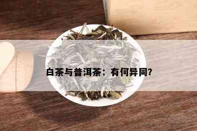 白茶与普洱茶：有何异同？