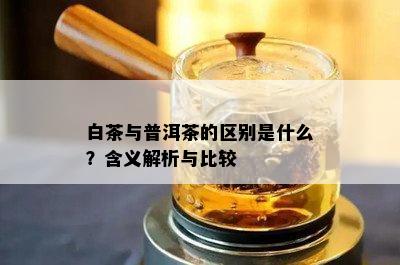 白茶与普洱茶的区别是什么？含义解析与比较