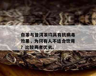 白茶与普洱茶均具有抗病效果，为何有人不适合饮用？比较两者优劣。