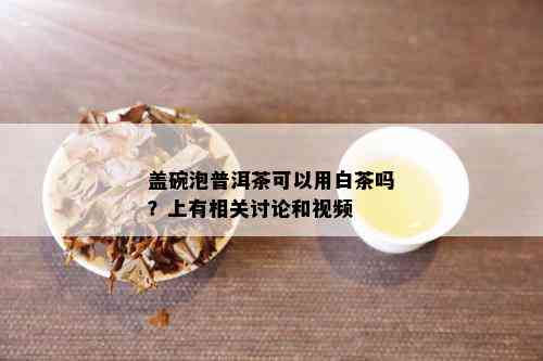 盖碗泡普洱茶可以用白茶吗？上有相关讨论和视频