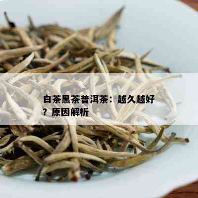 白茶黑茶普洱茶：越久越好？原因解析