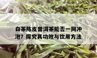 白茶陈皮普洱茶能否一同冲泡？探究其功效与饮用方法