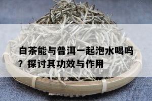 白茶能与普洱一起泡水喝吗？探讨其功效与作用