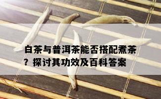 白茶与普洱茶能否搭配煮茶？探讨其功效及百科答案