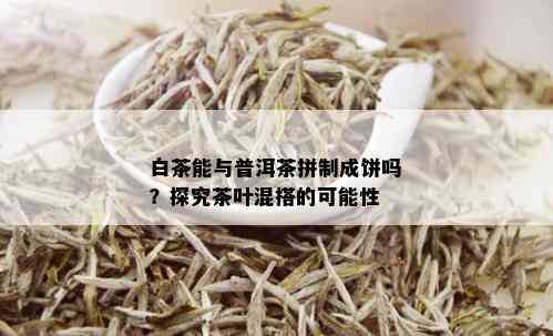 白茶能与普洱茶拼制成饼吗？探究茶叶混搭的可能性