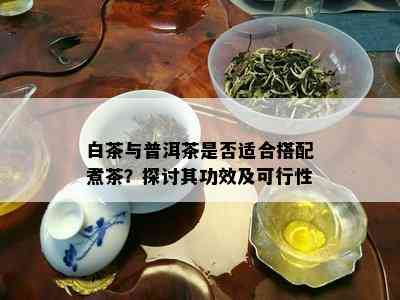 白茶与普洱茶是否适合搭配煮茶？探讨其功效及可行性