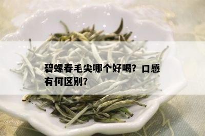 碧螺春毛尖哪个好喝？口感有何区别？