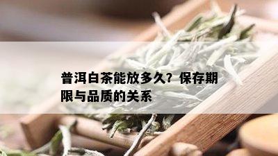 普洱白茶能放多久？保存期限与品质的关系