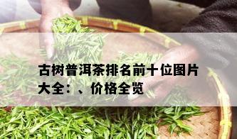 古树普洱茶排名前十位图片大全：、价格全览