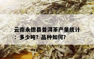 云南永德县普洱茶产量统计：多少吨？品种如何？