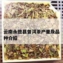 云南永德县普洱茶产量及品种介绍