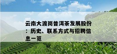 云南大渡岗普洱茶发展股份：历史、联系方式与招聘信息一览