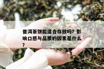 普洱茶饼能混合存放吗？影响口感与品质的因素是什么？