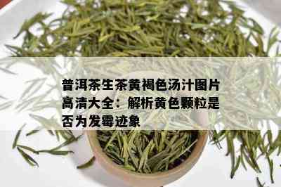 普洱茶生茶黄褐色汤汁图片高清大全：解析黄色颗粒是否为发霉迹象