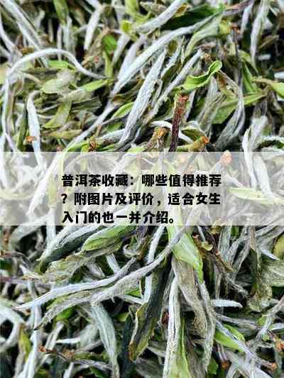 普洱茶收藏：哪些值得推荐？附图片及评价，适合女生入门的也一并介绍。