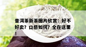 普洱茶新茶图片欣赏：好不好卖？口感如何？全在这里！