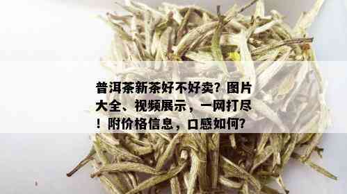 普洱茶新茶好不好卖？图片大全、视频展示，一网打尽！附价格信息，口感如何？