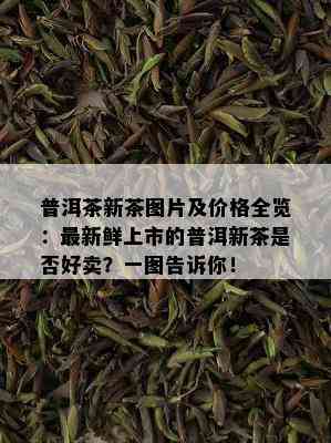 普洱茶新茶图片及价格全览：最新鲜上市的普洱新茶是否好卖？一图告诉你！