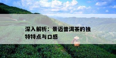 深入解析：景迈普洱茶的独特特点与口感