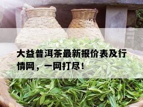 大益普洱茶最新报价表及行情网，一网打尽！