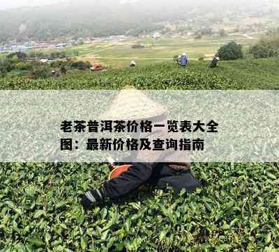 老茶普洱茶价格一览表大全图：最新价格及查询指南