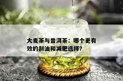 大麦茶与普洱茶：哪个更有效的刮油和减肥选择？