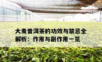 大麦普洱茶的功效与禁忌全解析：作用与副作用一览