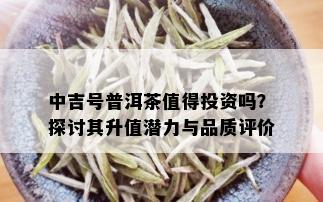 中吉号普洱茶值得投资吗？探讨其升值潜力与品质评价