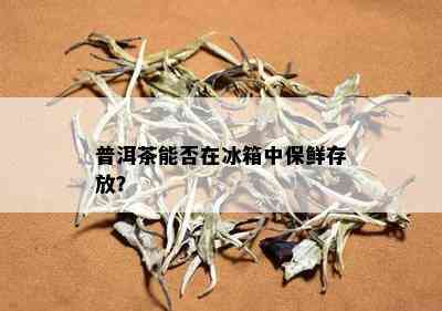 普洱茶能否在冰箱中保鲜存放？